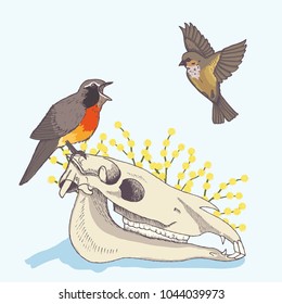 Skull of a horse and nightingales. Hand drawn vector illustration