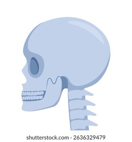 Skull, human body, head and neck bones side view.