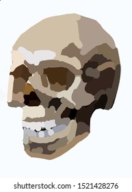 Skull human halloween vector graphic hand-drawn