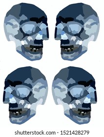 Skull human halloween vector graphic hand-drawn