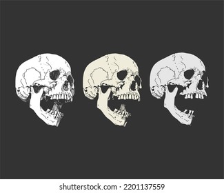 skull human hand drawing vector