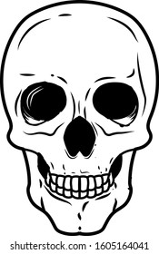 skull of human illustration vector transparent