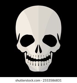 Skull. A human skull with a lower jaw on a black background. Part of a human skillet. Vector illustration for design and web.