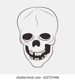 Skull human with a lower jaw and teeth. Hand drawn vector illustration.