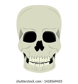 Skull human skeleton cartoon isolated symbol vector illustration graphic design