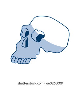 skull human structure anatomy bone icon