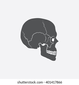 Skull icon.