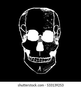 Skull. Skull icon. Skull banner. Skull vector illustration.