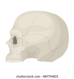 Skull icon in cartoon style isolated on white background. Black and white magic symbol stock vector illustration.