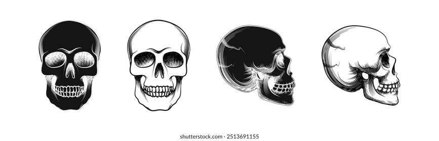 Skull icon. 
Graphic bones symbol