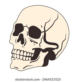 Skull. Skull icon for Halloween. Halloween skull