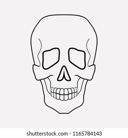 Skull icon line element. Vector illustration of skull icon line isolated on clean background for your web mobile app logo design.