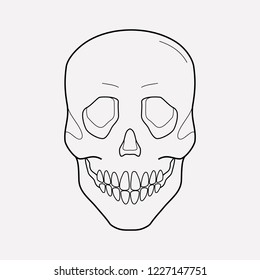 Skull icon line element. Vector illustration of skull icon line isolated on clean background for your web mobile app logo design.