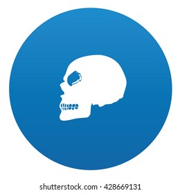 Skull icon on blue button,vector