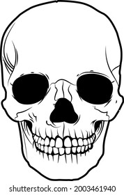 skull illustrated with black lines