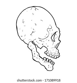 ilustración del cráneo