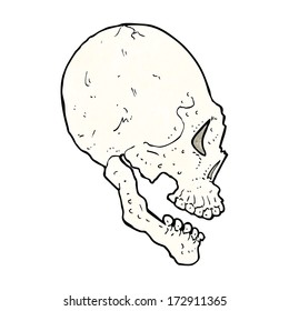ilustración del cráneo
