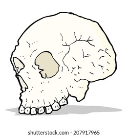 skull illustration