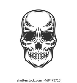 Skull illustration