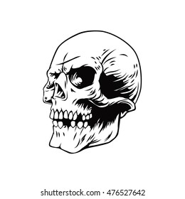 skull illustration