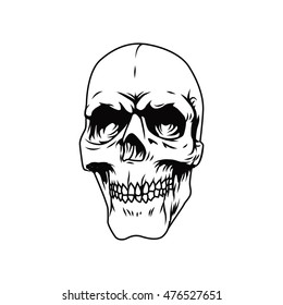 skull illustration