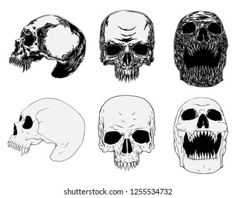 Skull Illustration with different styles