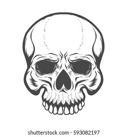 Skull illustration isolated on white background. Design elements for logo, label, emblem, poster, t-shirt. Vector illustration.