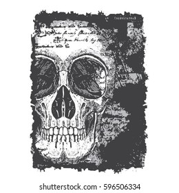 Skull illustration and typography, tee shirt graphics, vectors