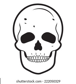 SKULL illustration vector