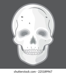 SKULL ILLUSTRATION VECTOR