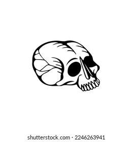 skull illustration vector with concept