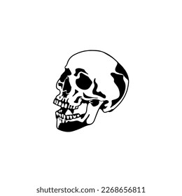 skull illustration vector with concept