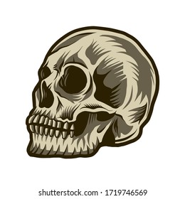skull illustration vector design isolated on white background side view