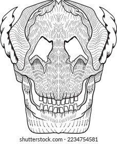Skull illustration vector design with line art concept for your merchandise, element design, cover, prints, and many more.