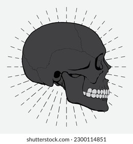 skull illustration vector design on sunburst background