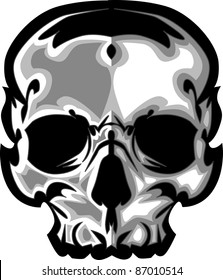 Skull illustration Vector Image