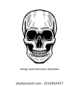 Skull illustration. Vintage skull hand drawn illustration in engraving style
