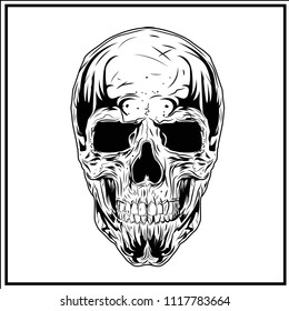 SKULL ILLUSTRATION  WHITE