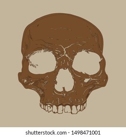 skull image design, gray background
