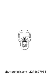 skull image. for wallpapers, icons, and for other artwork. simple vectors 