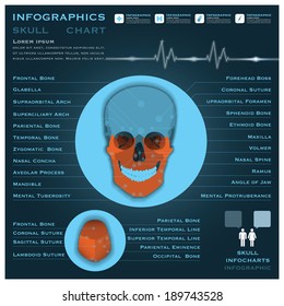 Skull Infographic Infocharts Health And Medical Science Background