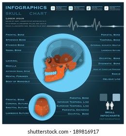 Skull Infographic Infocharts Health And Medical Science Background
