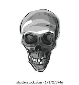 Skull isolated on a white background. Skull vector