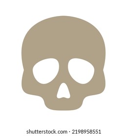 Skull isolated on white background