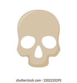 Skull isolated on white background