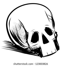 Skull isolated on white. Hand drawing sketch vector illustration