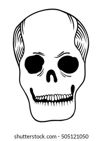 Skull isolated on white. Hand painted illustration. Vector illustration.
