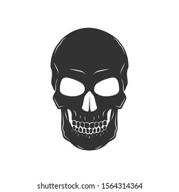 Skull isolated on white. Vector illustration.