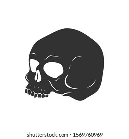 Skull isolated on white. Vector illustration.