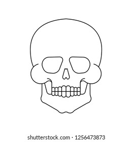 Skull isolated. Skeleton Head Vector Illustration. Scary symbol pirate and death